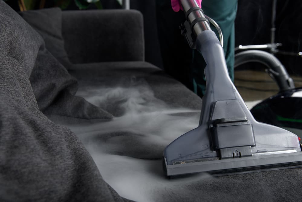 steam cleaner